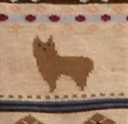 Alpaca Watching Socks